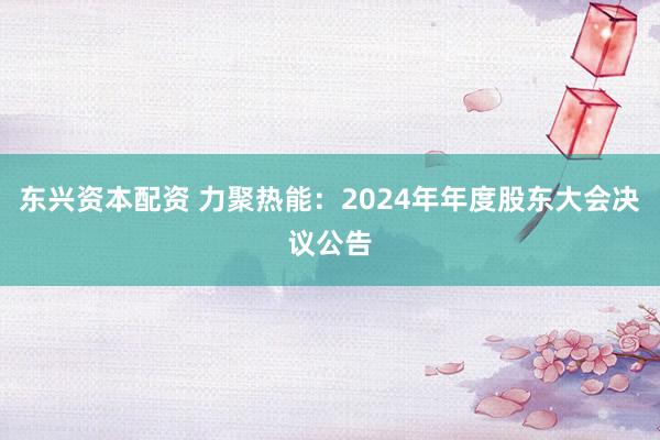 东兴资本配资 力聚热能：2024年年度股东大会决议公告