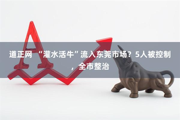 道正网  “灌水活牛”流入东莞市场？5人被控制，全市整治