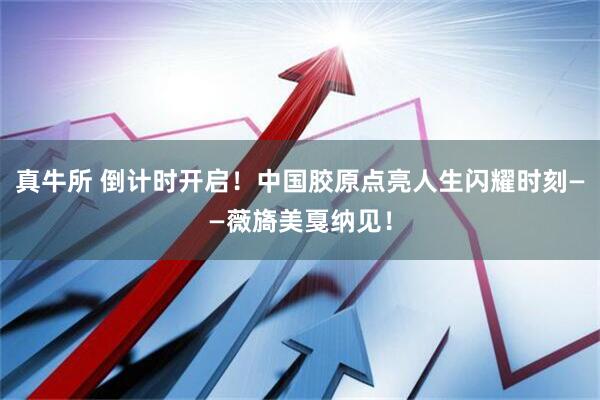 真牛所 倒计时开启！中国胶原点亮人生闪耀时刻——薇旖美戛纳见！