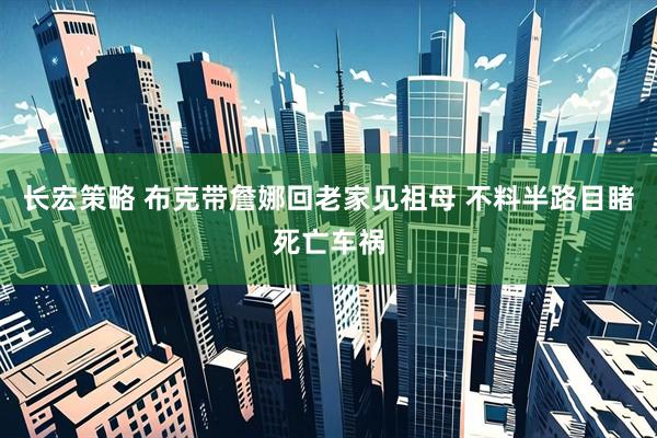 长宏策略 布克带詹娜回老家见祖母 不料半路目睹死亡车祸