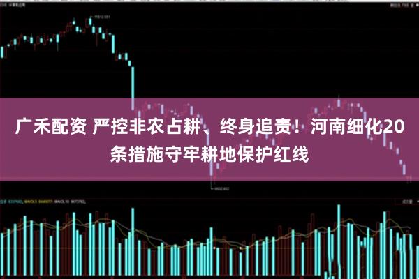 广禾配资 严控非农占耕、终身追责！河南细化20条措施守牢耕地保护红线