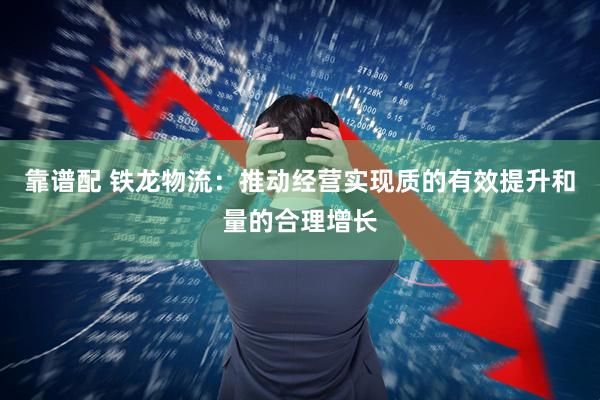 靠谱配 铁龙物流：推动经营实现质的有效提升和量的合理增长