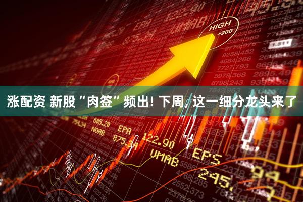 涨配资 新股“肉签”频出! 下周, 这一细分龙头来了